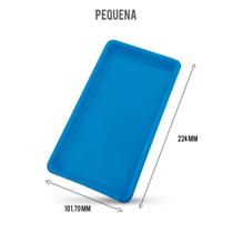 Bandeja autoclavável pequena - lysanda