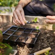 Bandeja com 32 Células Quadrada Preto