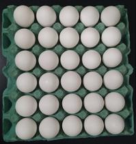 Bandeja de Ovos Jumbo com 30 Unidade