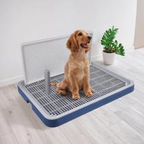 Bandeja porta tapete higiênico para treinamento de cães PAWISE grande 63 x 49 cm Bandeja porta tapete higiênico para treinamento de cães PAWISE grande 63 x 49 cm