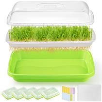 Bandejas Germinadoras de Sementes FELISTORY 6 Unidades Sem Solo 32 x 24 x 10 cm Bandejas Germinadoras de Sementes FELISTORY 6 Unidades Sem Solo 32 x 24 x 10 cm