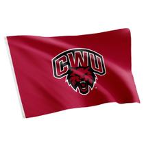 Bandera Desert Cactus Universidad Central de Washington CWU 3x5 pies