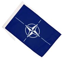 Bandera OTAN AZ FLAG 30x45 cm de Poliéster Bandera OTAN AZ FLAG 30x45 cm de Poliéster