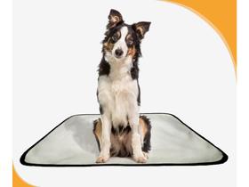 Banheiro canino móvel reutilizável pet 3un M 60x80 cm