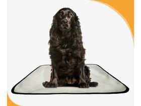 Banheiro canino para adestramento 2 unidades M - 60x80 cm