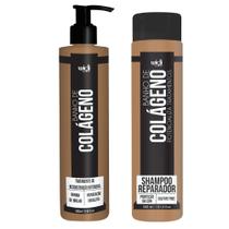 Banho De Colágeno Máscara 280ml Shampoo Reparador 300ml Widi Banho De Colágeno Máscara 280ml Shampoo Reparador 300ml Widi