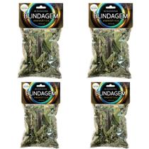 Banho de Ervas da Umbanda Blindagem Energética Limpeza Proteção Espiritual Trabalho Inveja Kit 4 Und Banho de Ervas da Umbanda Blindagem Energética Limpeza Proteção Espiritual Trabalho Inveja Kit 4 Und