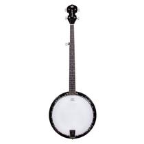 Banjo Americano Acústico Strinberg Wb50 5 Cordas