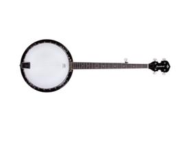 Banjo americano strinberg wb50