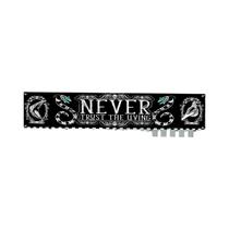 Banner De Halloween Preto E Branco Assustador Para Decoração Externa - Tema Horror: Chegou a Hora Do