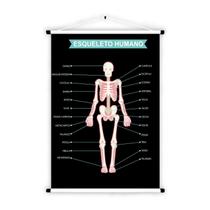 Banner de Lona Educativo Esqueleto Humano - 85x60cm Banner de Lona Educativo Esqueleto Humano - 85x60cm
