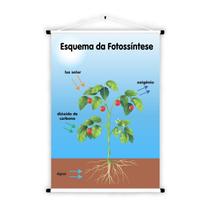 Banner de Lona Educativo Fotossíntese - 85x60cm Banner de Lona Educativo Fotossíntese - 85x60cm