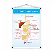 Banner de Lona Educativo Sistema Digestório- 85x60cm Banner de Lona Educativo Sistema Digestório- 85x60cm