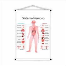 Banner de Lona Educativo Sistema Nervoso 70x55 cm