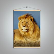 Banner Decorativo Lion