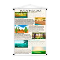 Banner Educativo em Lona Biomas Brasileiro - 85x60cm