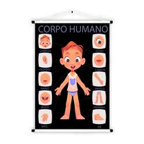 Banner Educativo em Lona Corpo Humano - 85x60cm