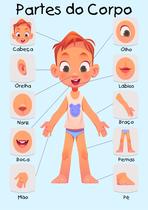 Banner Educativo em Lona Partes do Corpo - 85x60cm Banner Educativo em Lona Partes do Corpo - 85x60cm