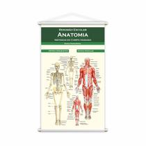 Banner Escolar Pedagógico Resumão Anatomia Medicina 120x60cm