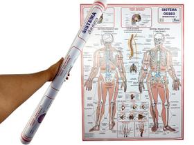 Banner Esqueleto Mapa Anatomia do Corpo Humano 90x120CM Para Estudo Biologia Pôster Medicina - MultiMapas