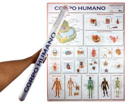 Banner Mapa Anatomia do Corpo Humano 120x90CM Para Estudo Biologia Pôster Medicina