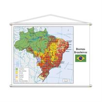 Banner Mapa Escolar Biomas Brasileiros Geografia 100X80Cm - Plimshop