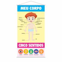 Banner Pedagógico Escolar Meu Corpo Cinco Sentidos 80x50cm