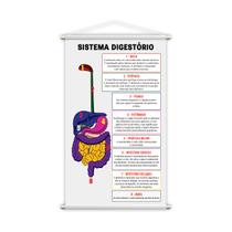 Banner Pedagógico Escolar Sistema Digestivo 120x60cm Banner Pedagógico Escolar Sistema Digestivo 120x60cm