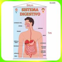 Banner Pedagógico Impresso Escolar Sistema Digestívo Sil826