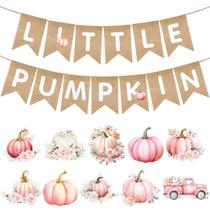 Banner VitalCozy Fall Pink Little Pumpkin Baby Shower Banner VitalCozy Fall Pink Little Pumpkin Baby Shower