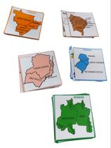 Baralho Das 5 Regiões Do Brasil Geografia Sul Norte Sudeste - T&D JOGOS EDUCATIVOS