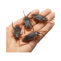 Baratas de Plástico para Halloween - 5 a 50 Peças - Adereços de Decoração de Brincadeira