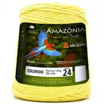 Barbante Amazônia 24 Fios - 1Kg