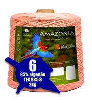 Barbante Amazônia 4/6 2kg Salmão cor 10 - São João