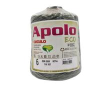 Barbante apolo 6 fios circulo 600g cor verde militar 5368