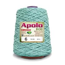 Barbante Apolo Eco 4/6 COR 600G