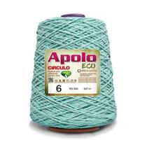 Barbante Apolo Eco 4/6 COR 600G Nº6 - CIRCULO