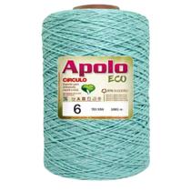 Barbante Apolo Eco 6 Bobina 1.8kg Cor 5276