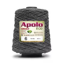Barbante Apolo Eco 6 Círculo 600g - 8676 Chumbo Barbante Apolo Eco 6 Círculo 600g - 8676 Chumbo