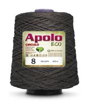 Barbante Apolo Eco Circulo Fio nº8 - 470m/600g