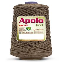 Barbante Apolo Eco Círculo N 4 - 600g COR:8473 - Mescla