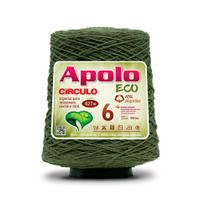 Barbante Apolo Eco Nº 06 600gms 627mts Kit 2 Unidades