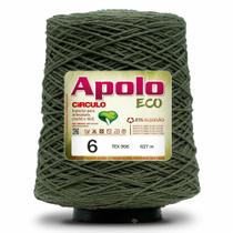 Barbante Apolo Eco Nº 6 600g Círculo