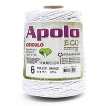 Barbante Apolo Eco nº06 600g