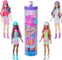Barbie Color Reveal - Disco Star Cowgirls - Mattel Barbie Color Reveal - Disco Star Cowgirls - Mattel