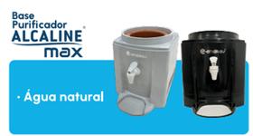 base purificador alcaline max