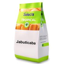 Base Saborizante de Sorvete Selecta Tropical Jabuticaba 1k