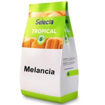 Base Saborizante de Sorvete Selecta Tropical Melancia 1kg