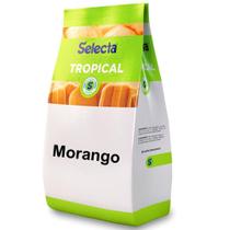 Base Saborizante de Sorvete Selecta Tropical Morango 1kg