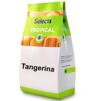 Base Saborizante de Sorvete Selecta Tropical Tangerina 1kg